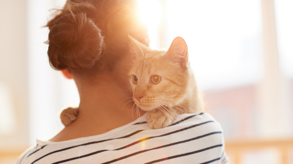 Žena drží zrzavou kočku v náručí po adopci z útulku